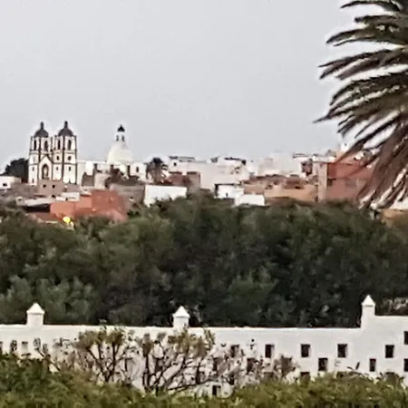 Acoran فيلة