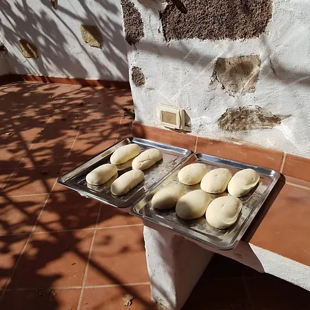 فيلة Acoran *